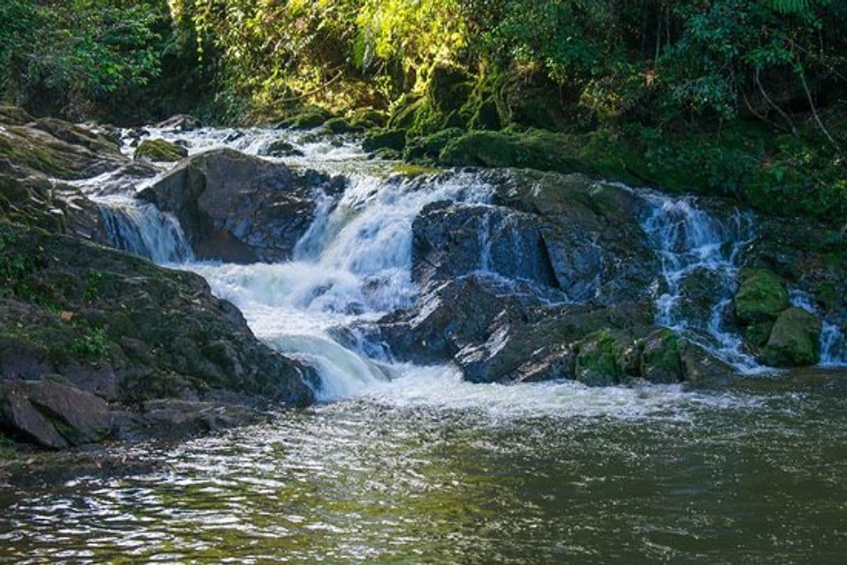 Lugar Cachoeira do Sagui