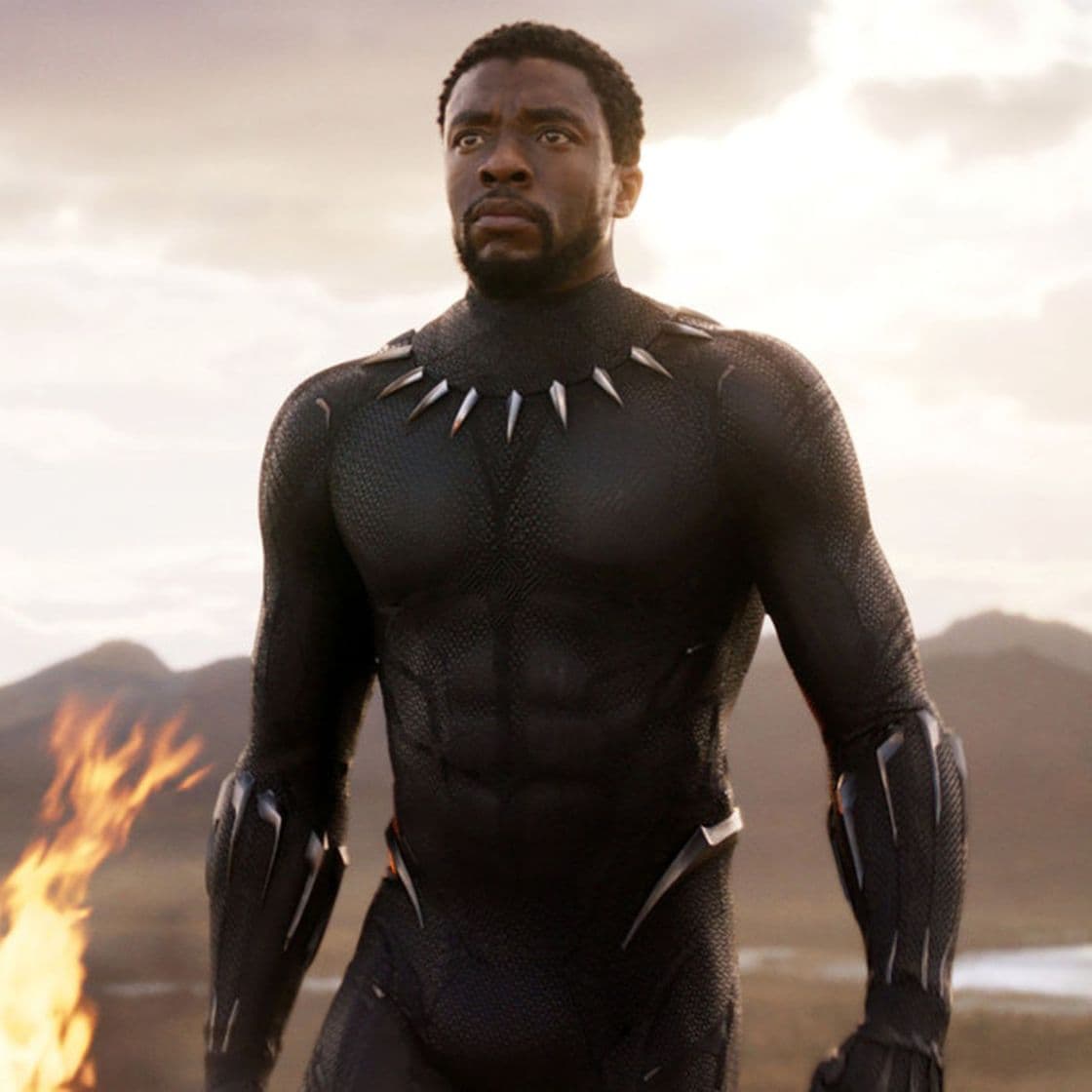 Movie The Black Panter