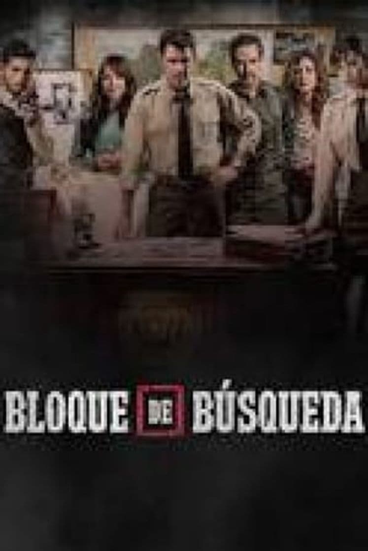 Serie Bloque De Busqueda