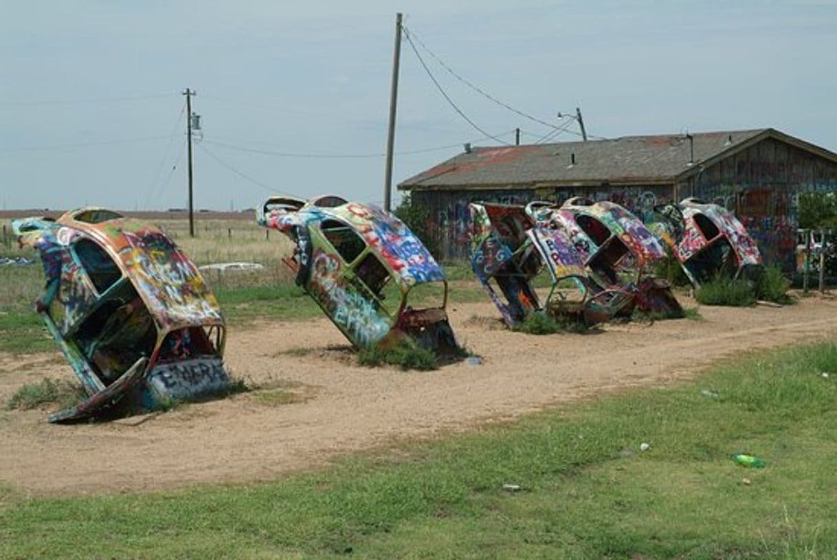 Place VW Slug Bug Ranch