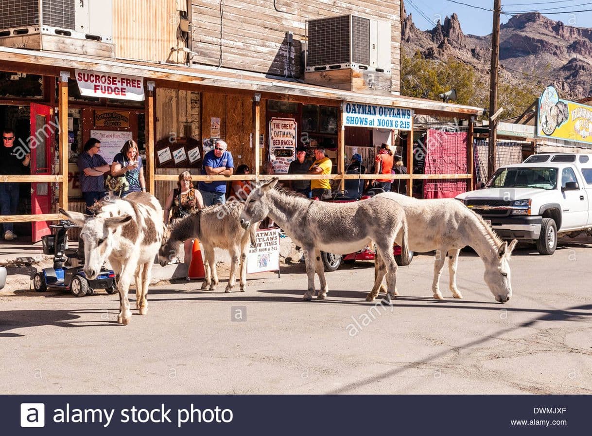 Lugar Oatman