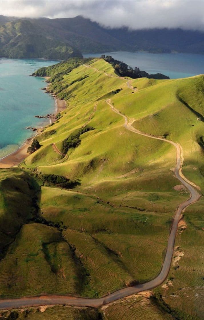 Place Marlborough Sounds Adventure Company