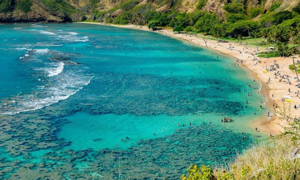 Place Hanauma Bay Nature Preserve