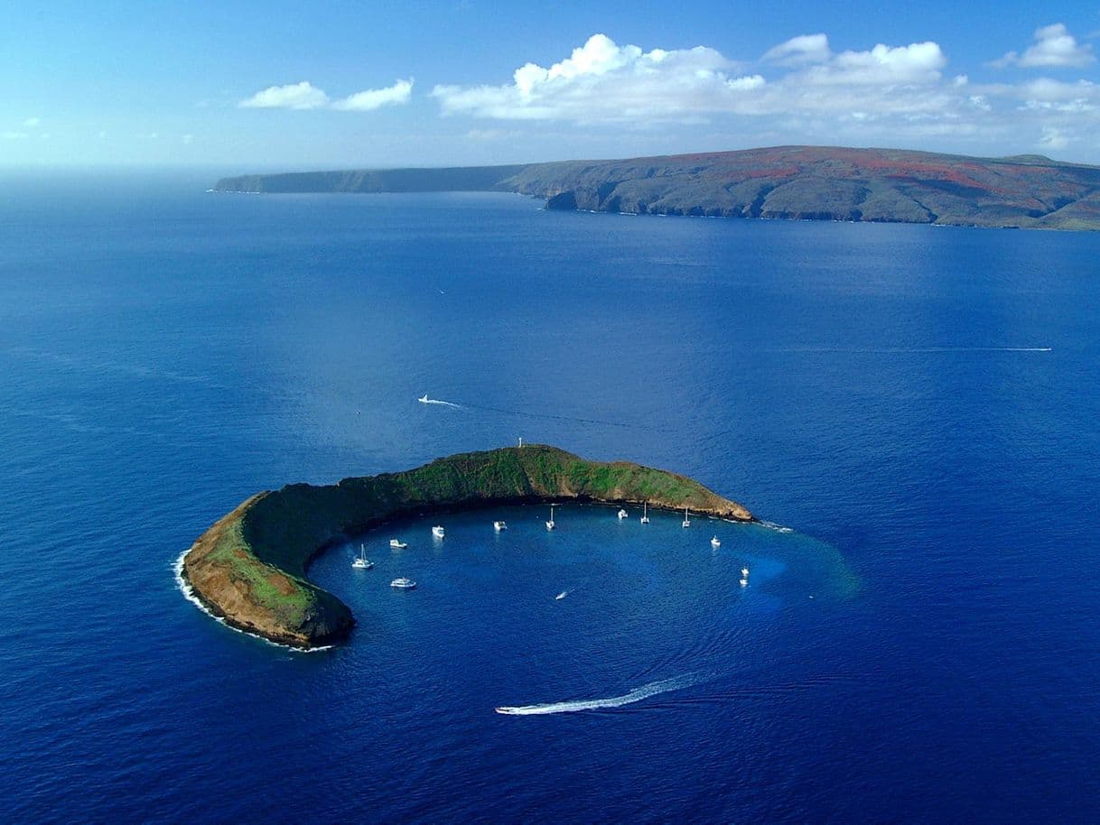 Place Molokini Crater