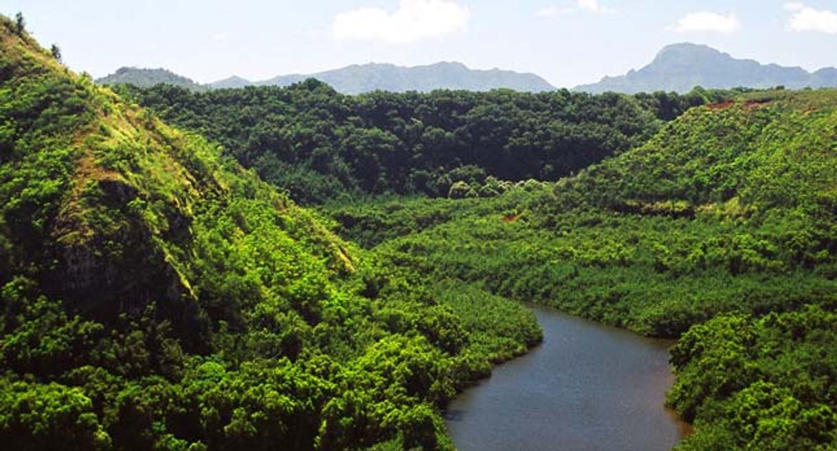 Place Wailua River