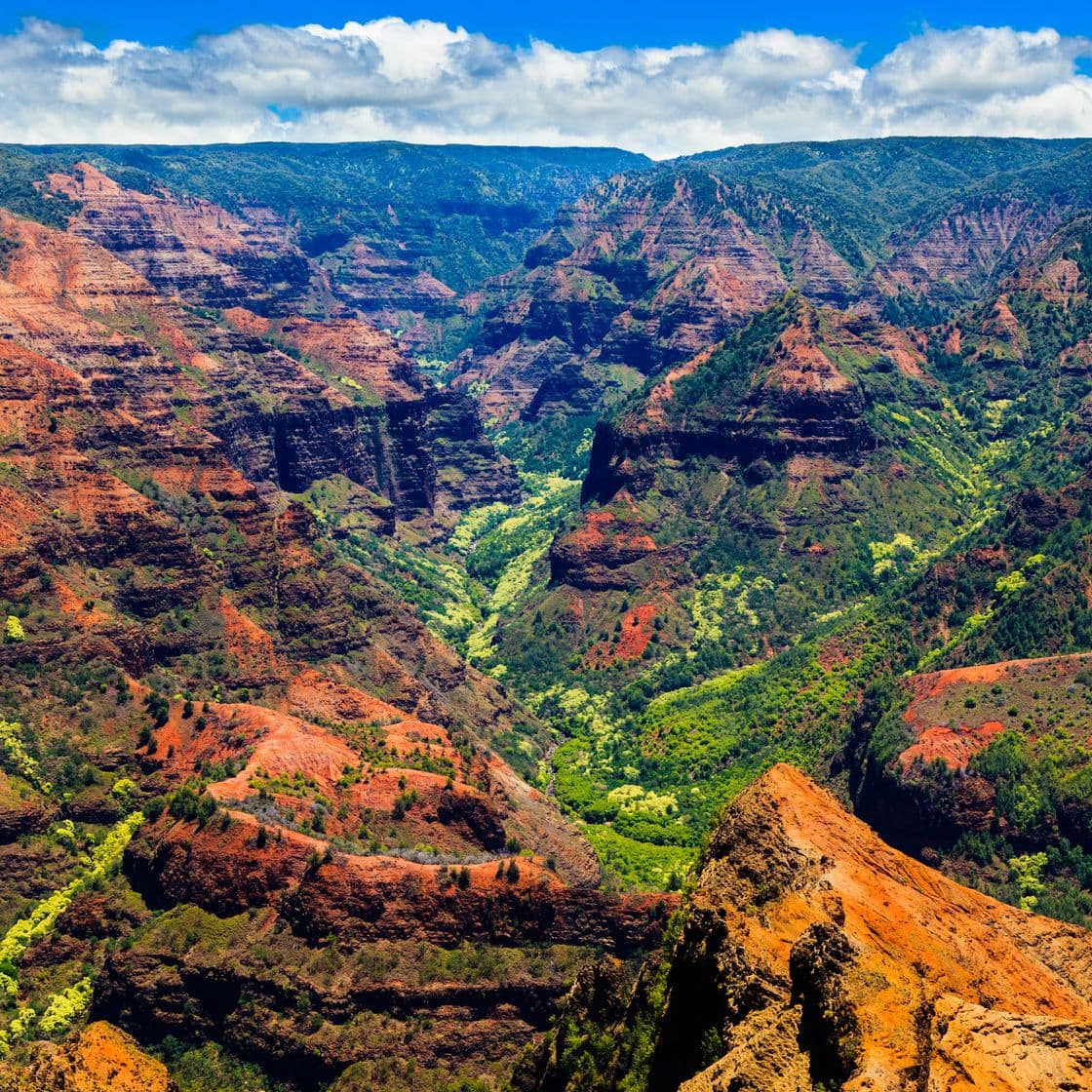 Place Waimea Canyon