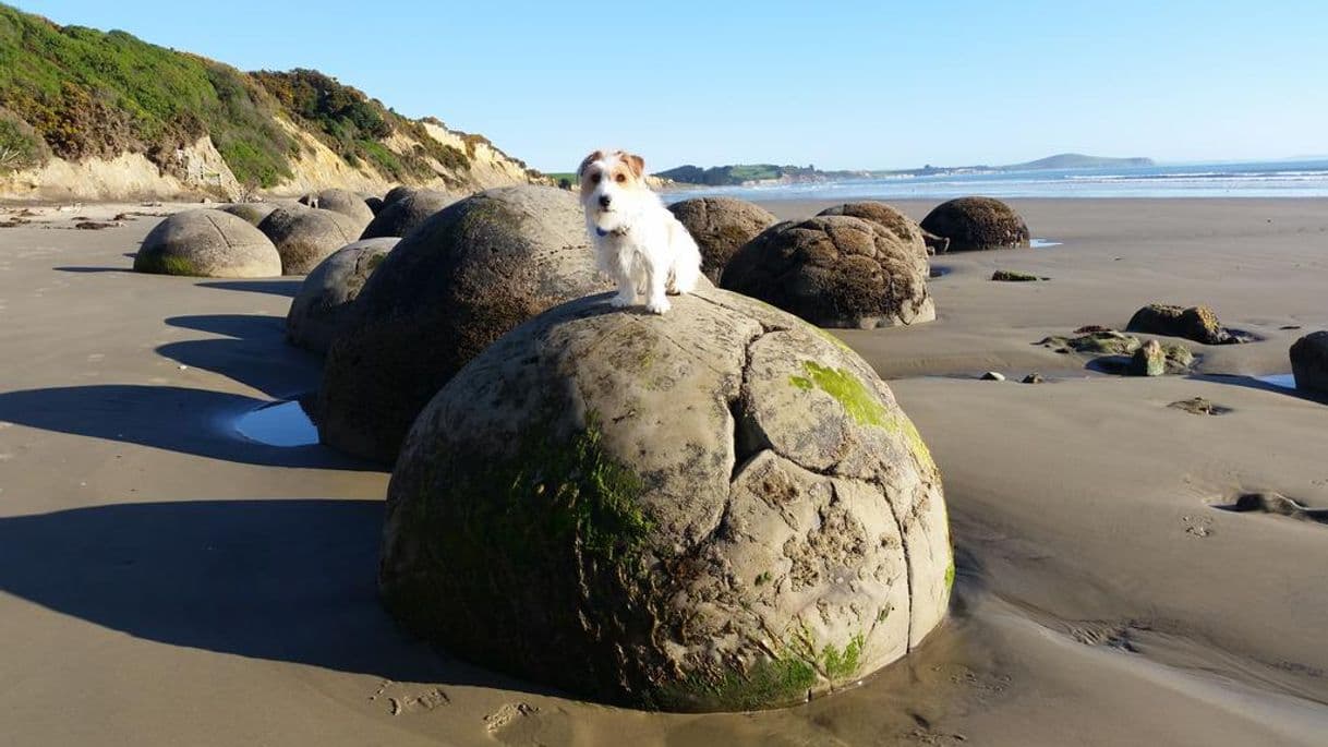 Place Moeraki Boulders Beach