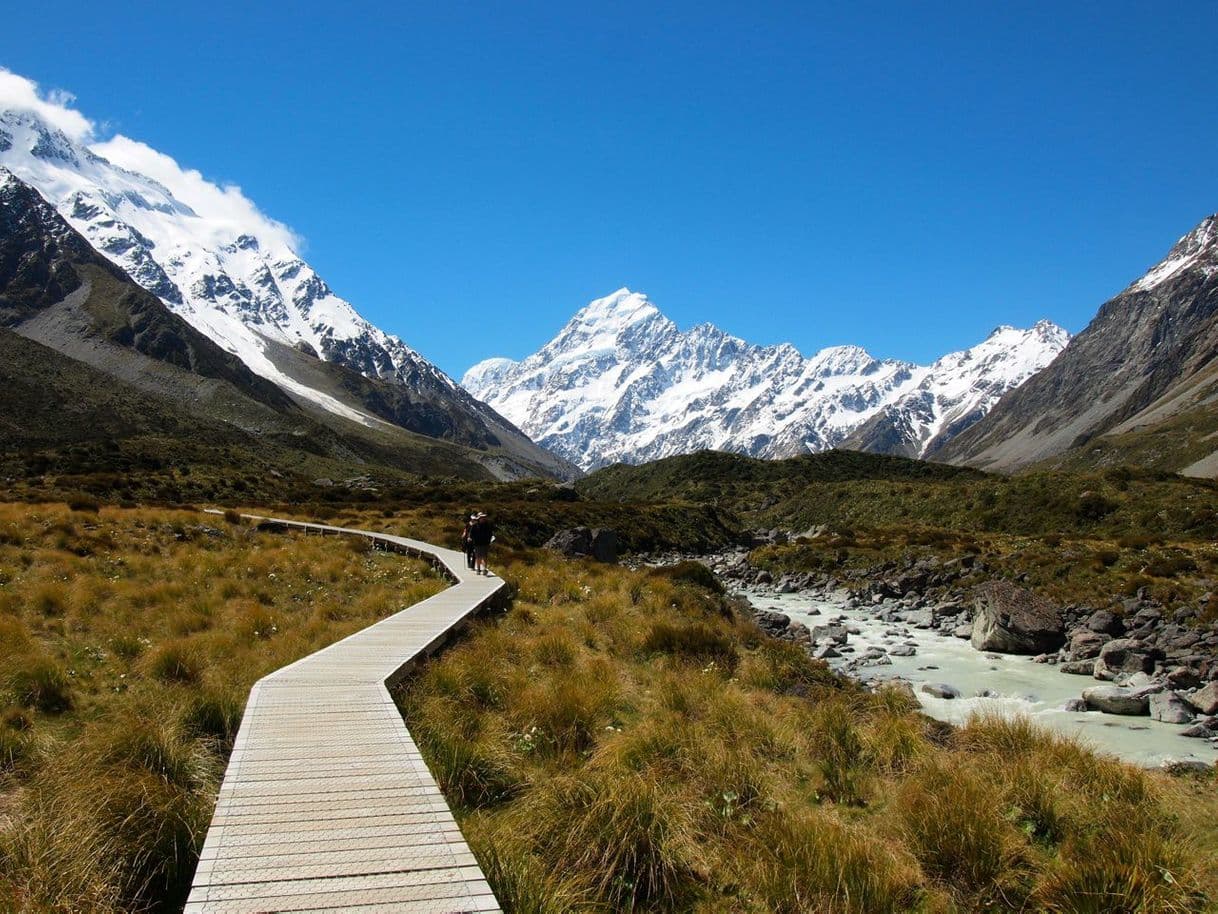 Place Hooker Valley Track