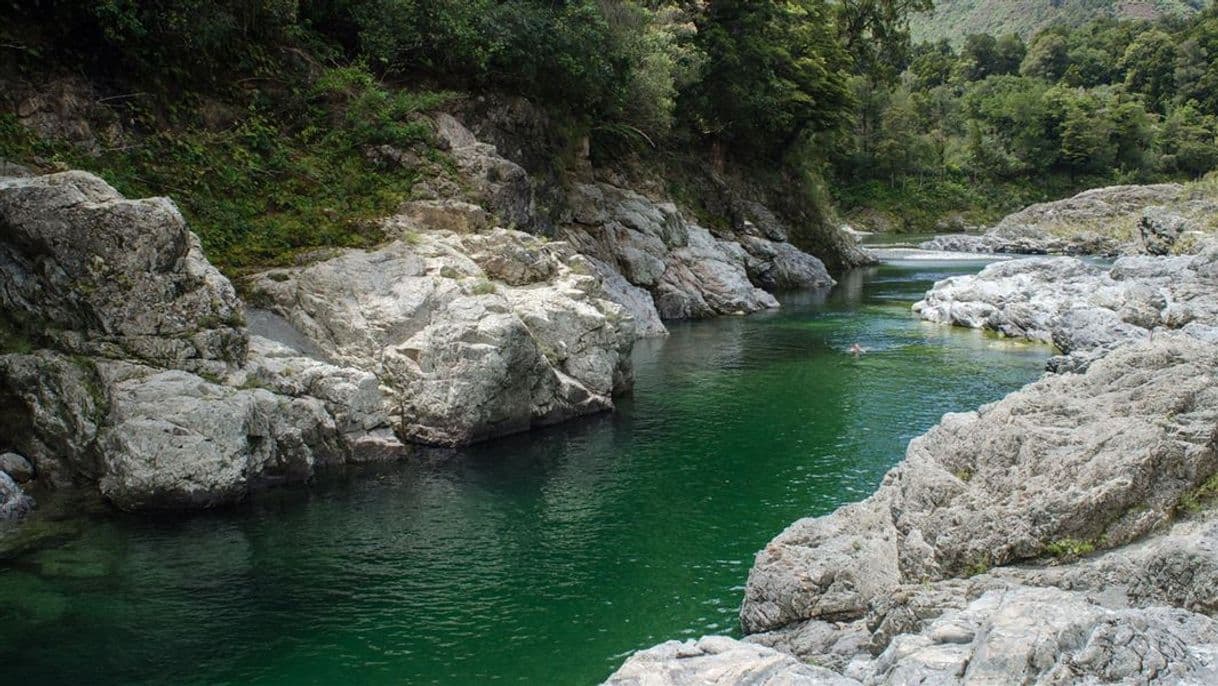 Place Pelorus River