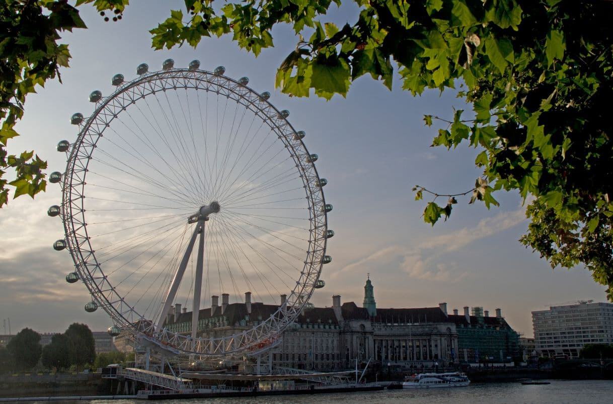 Place London Eye