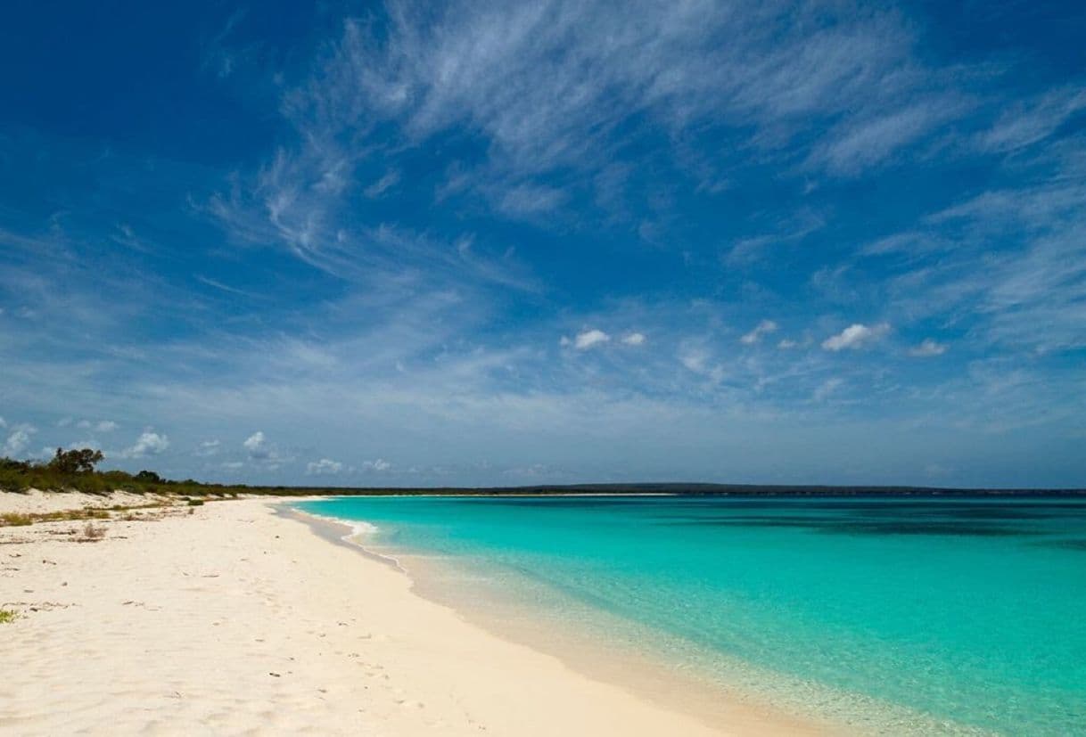 Lugar Bahía de las Águilas