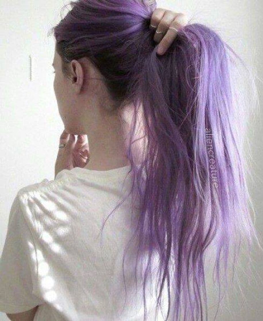 Fashion Lilac 💜