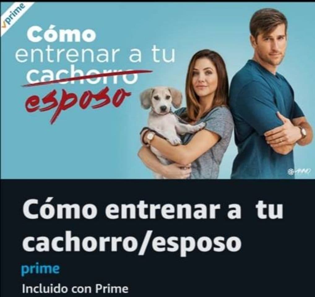 Fashion Como entrenar a tu esposo- Prime Video