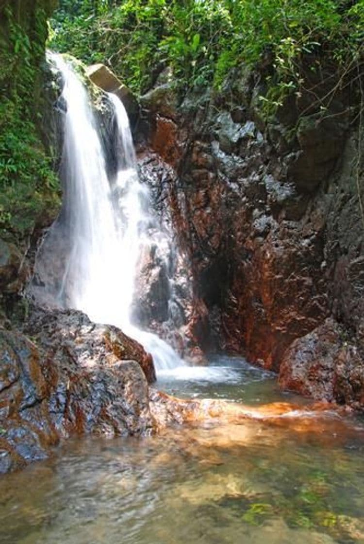 Lugar Panacam Lodge