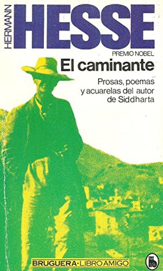 Libro El caminante