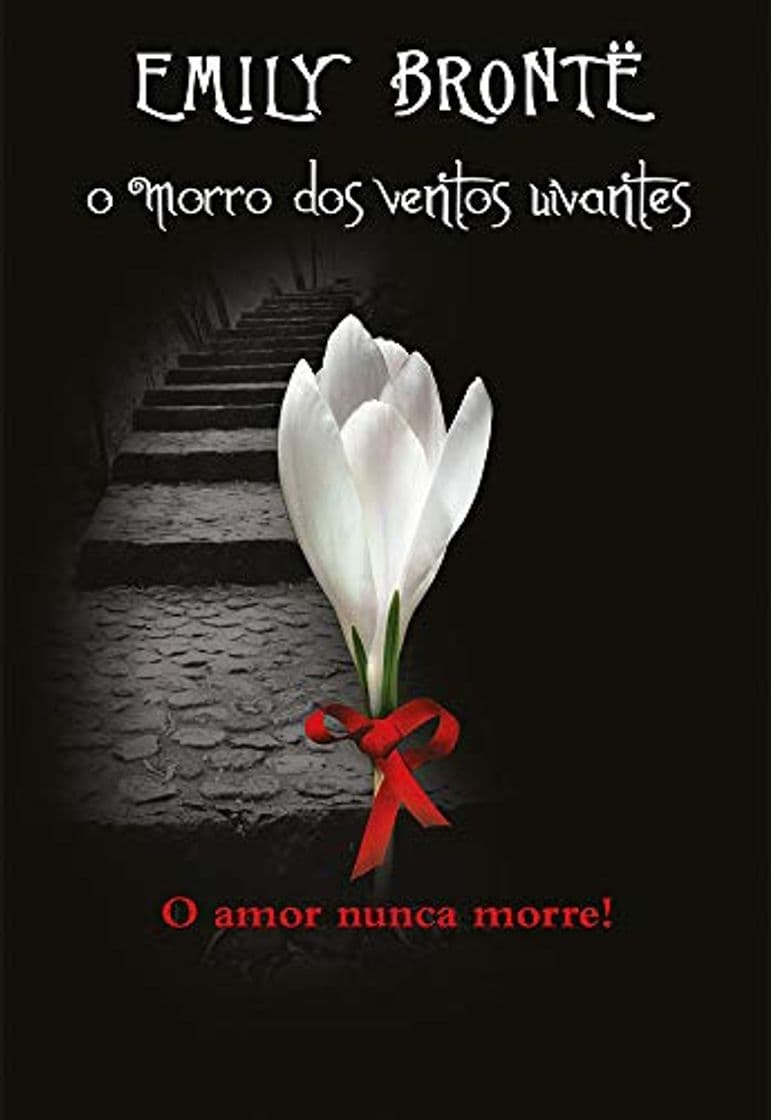 Libro O morro dos ventos uivantes