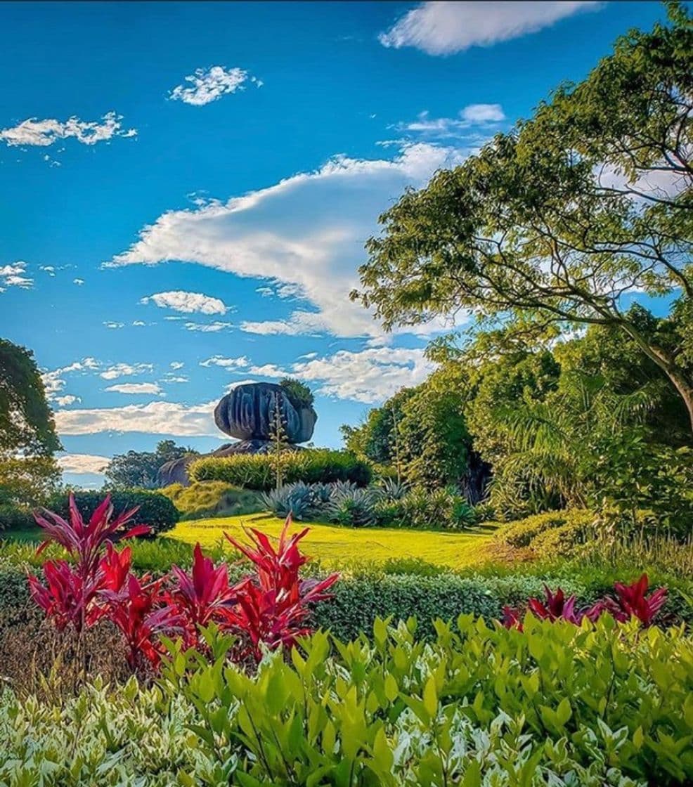 Lugar Parque Pedra da Cebola