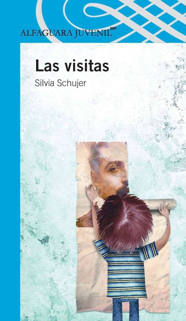 Libro Novela Las Visitas de Silvia Schujer