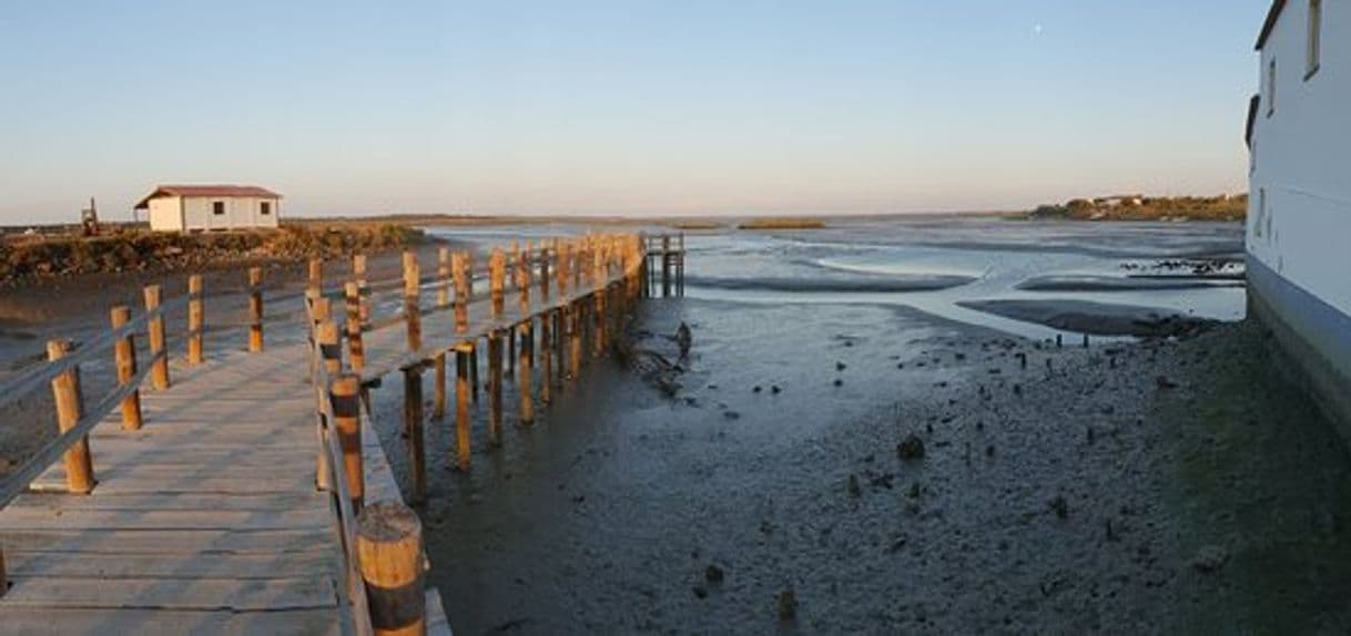 Lugar Reserva natural del Estuario del Sado