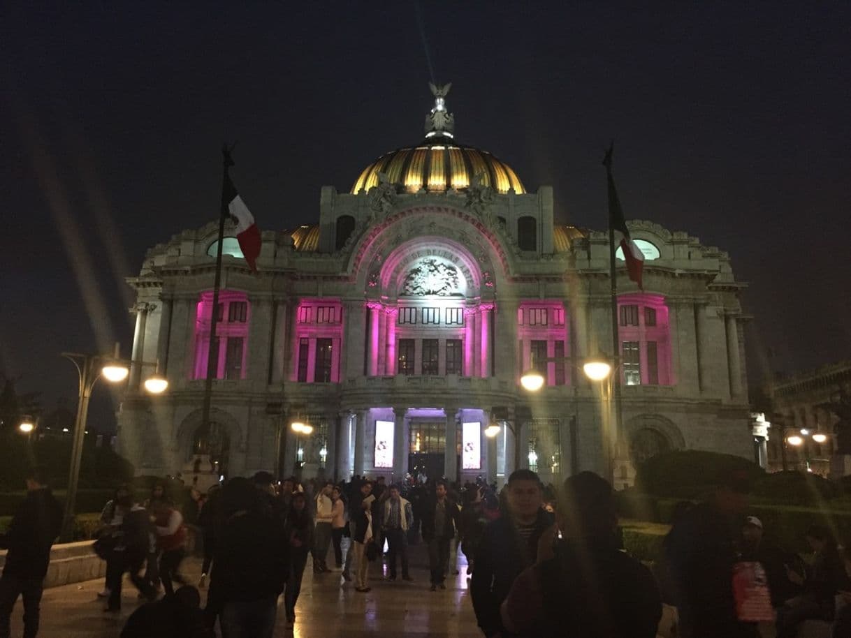 Lugar Palacio de Bellas Artes