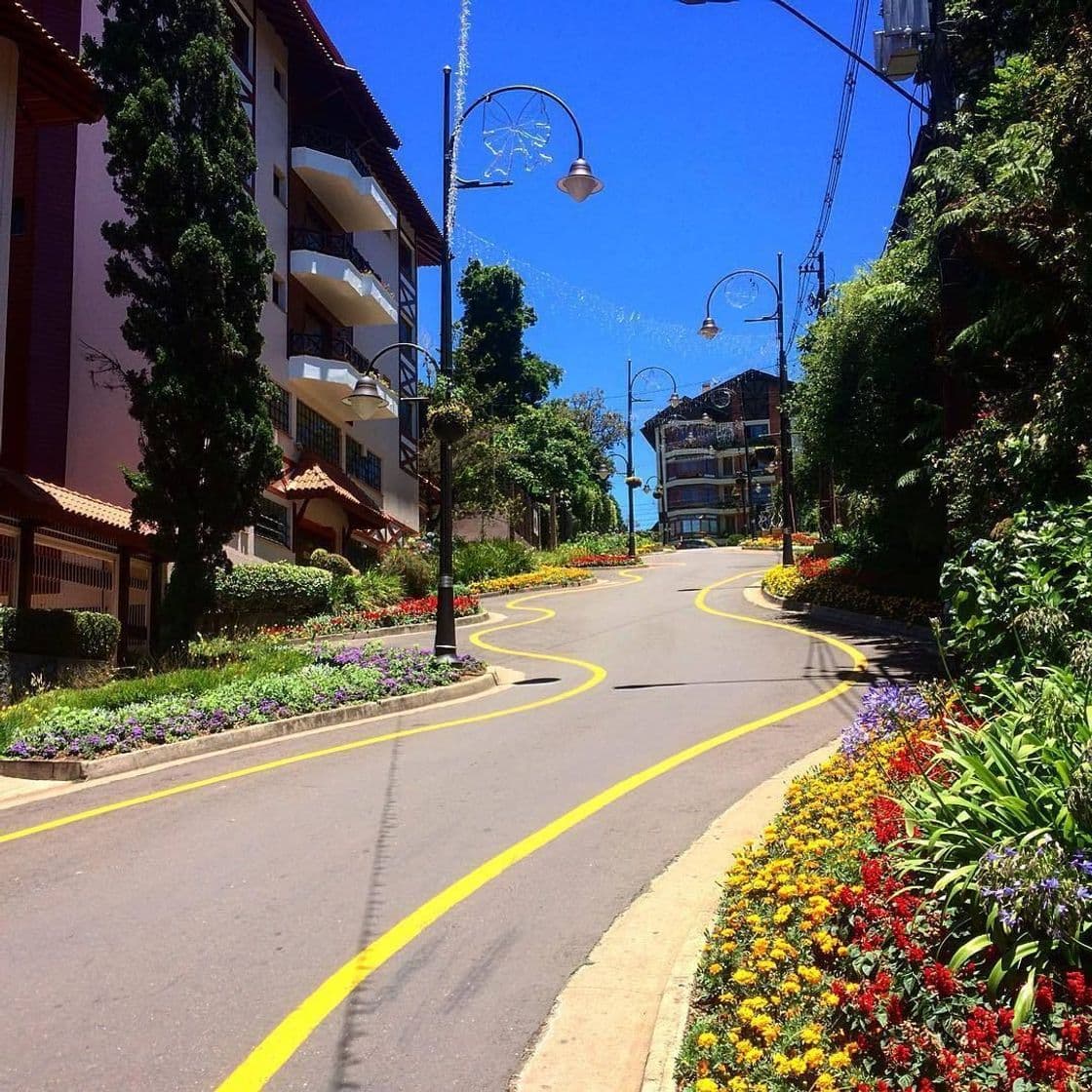 Lugar Rua Emilio Sorgetz a Rua Torta