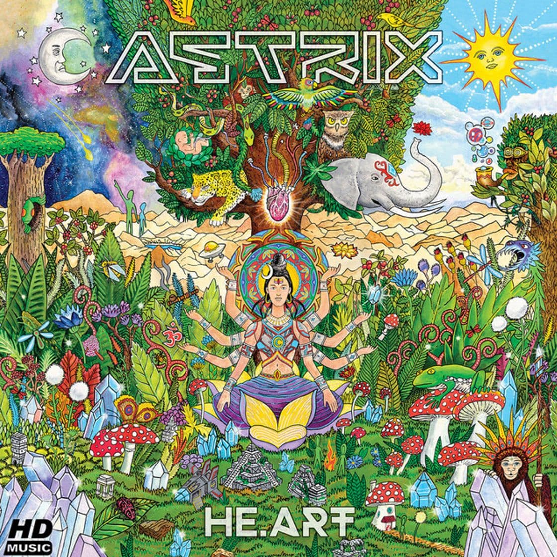 Canción Astrix on Mushrooms