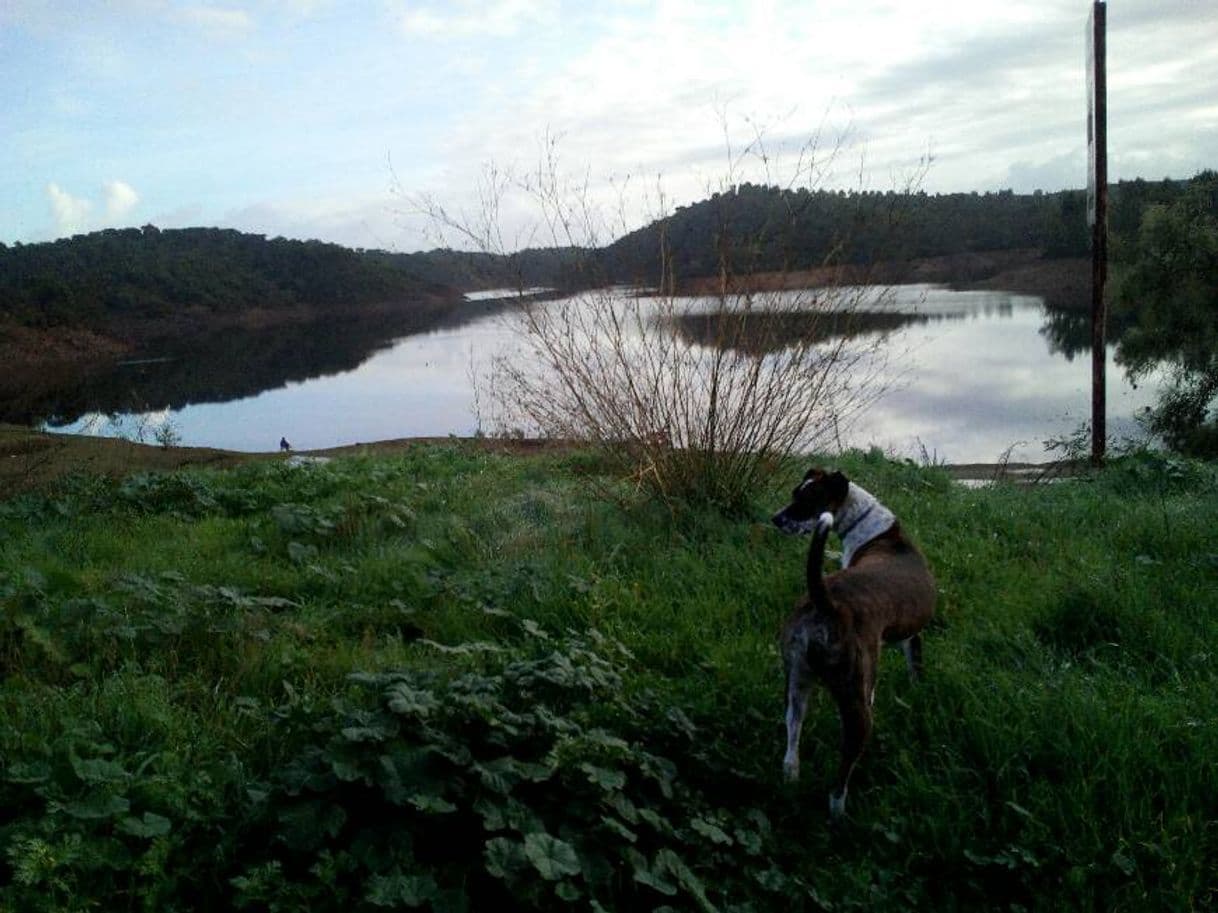 Place Barragem do Pego do Altar