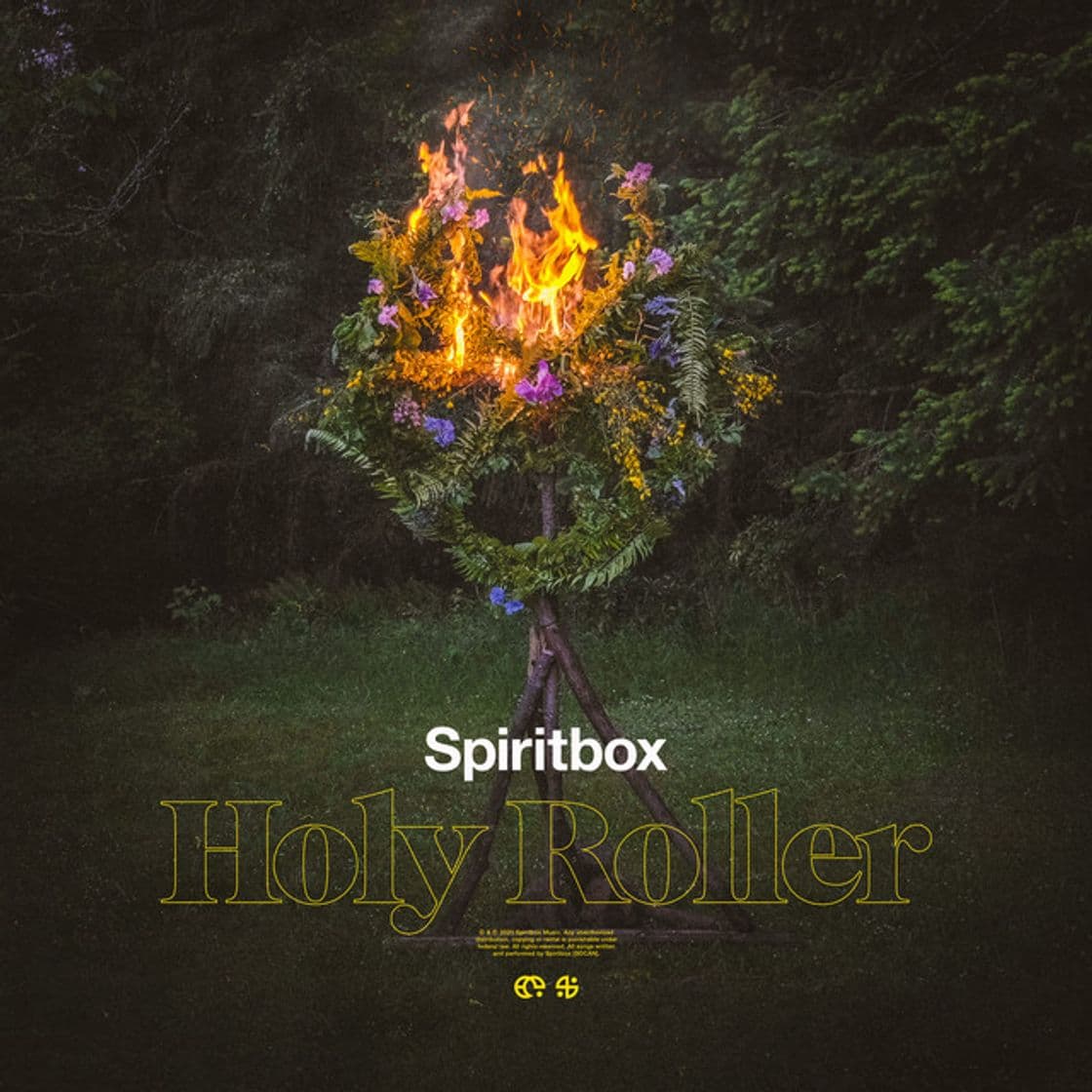 Canción Holy Roller