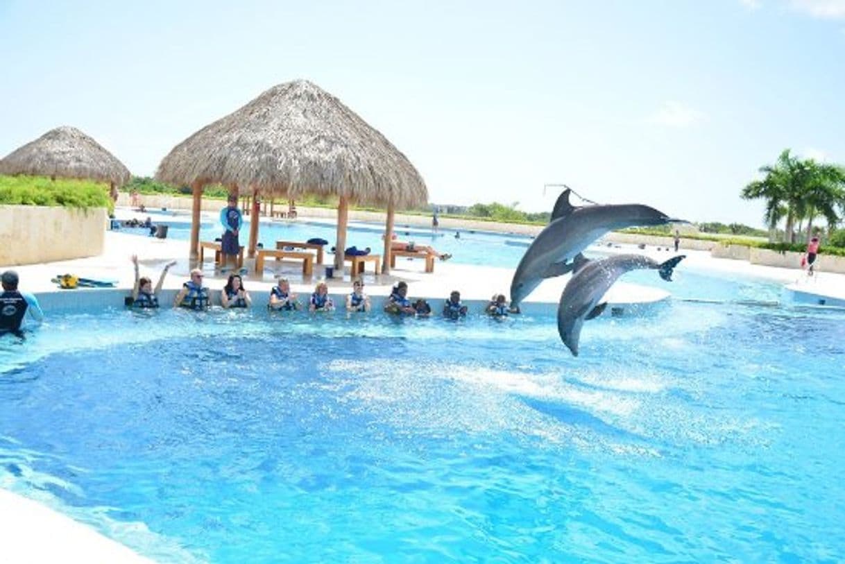 Lugar Dolphin Discovery Punta Cana