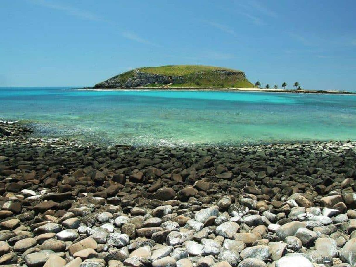 Place Arquipélago de Abrolhos