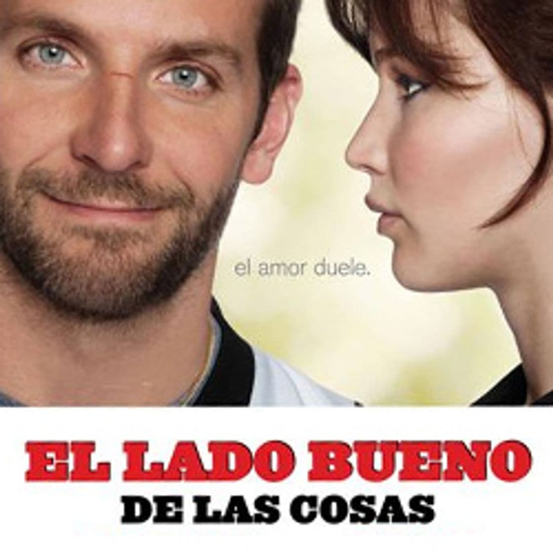 Movie Silver Linings Playbook