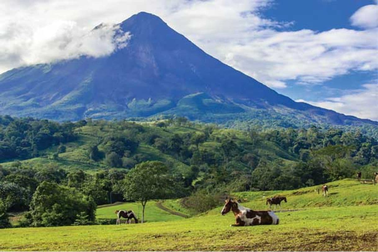 Place Parque Nacional Volcán Arenal