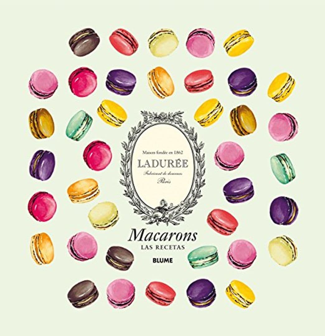 Libro Macarons