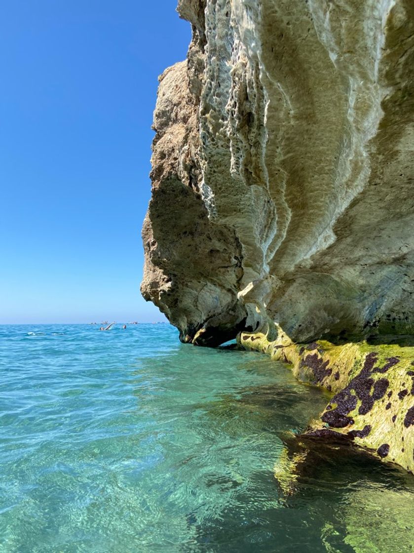 Lugar Piedra de Tarzan