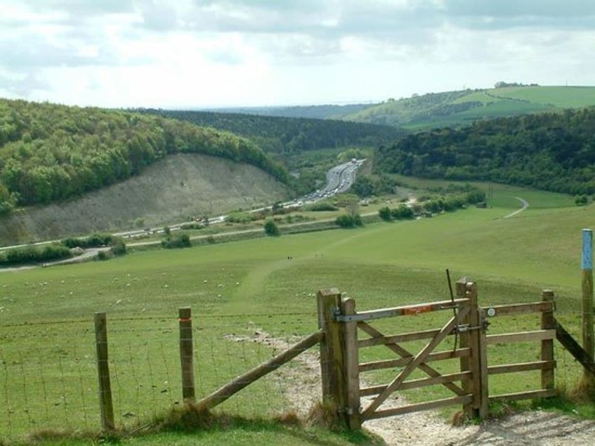 Place Queen Elizabeth Country Park