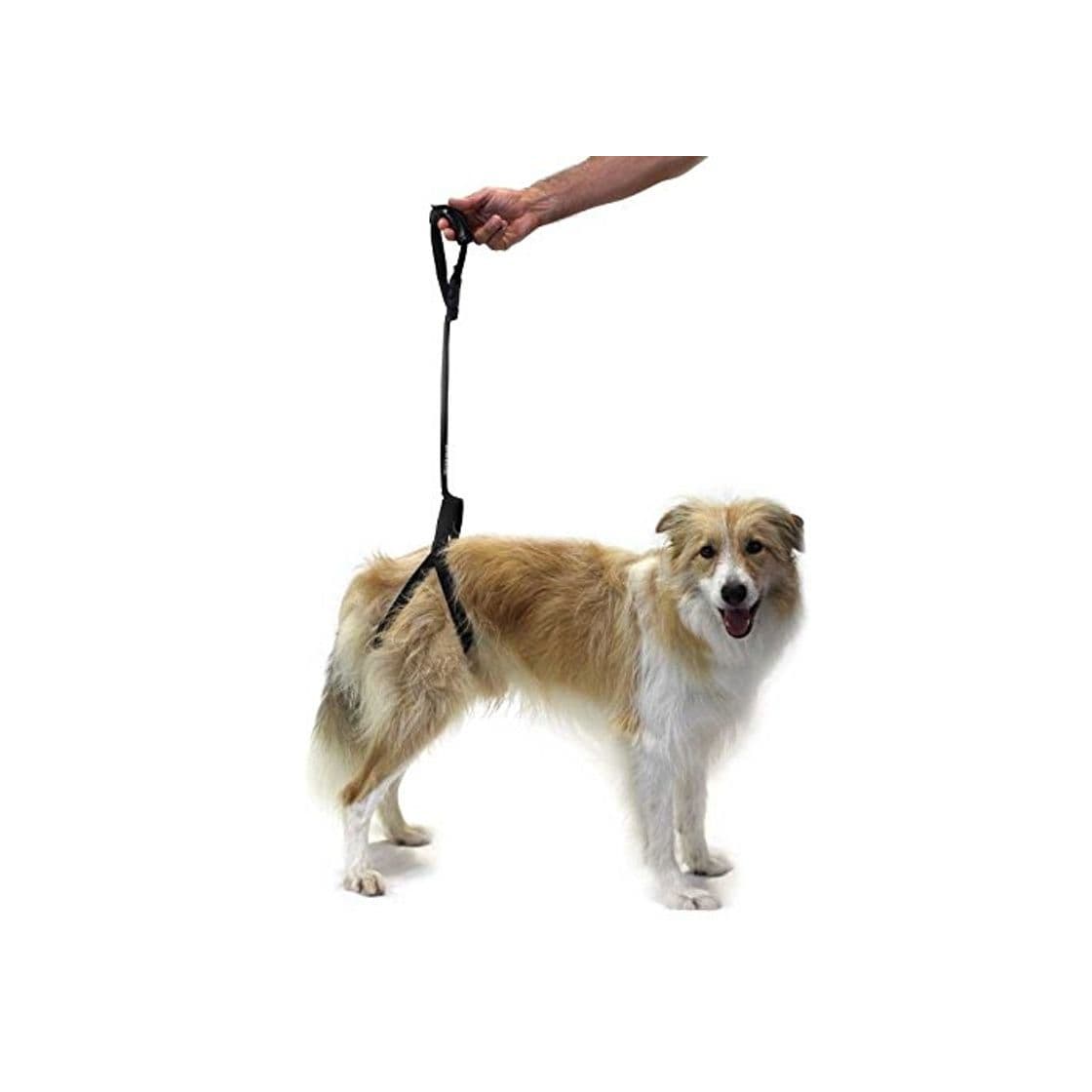 Product Ortocanis Arnés de Soporte para Perro