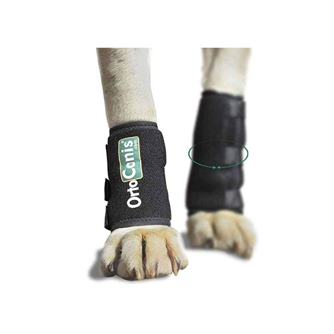 Product Ortocanis - Muñequera para Perros con artrosis