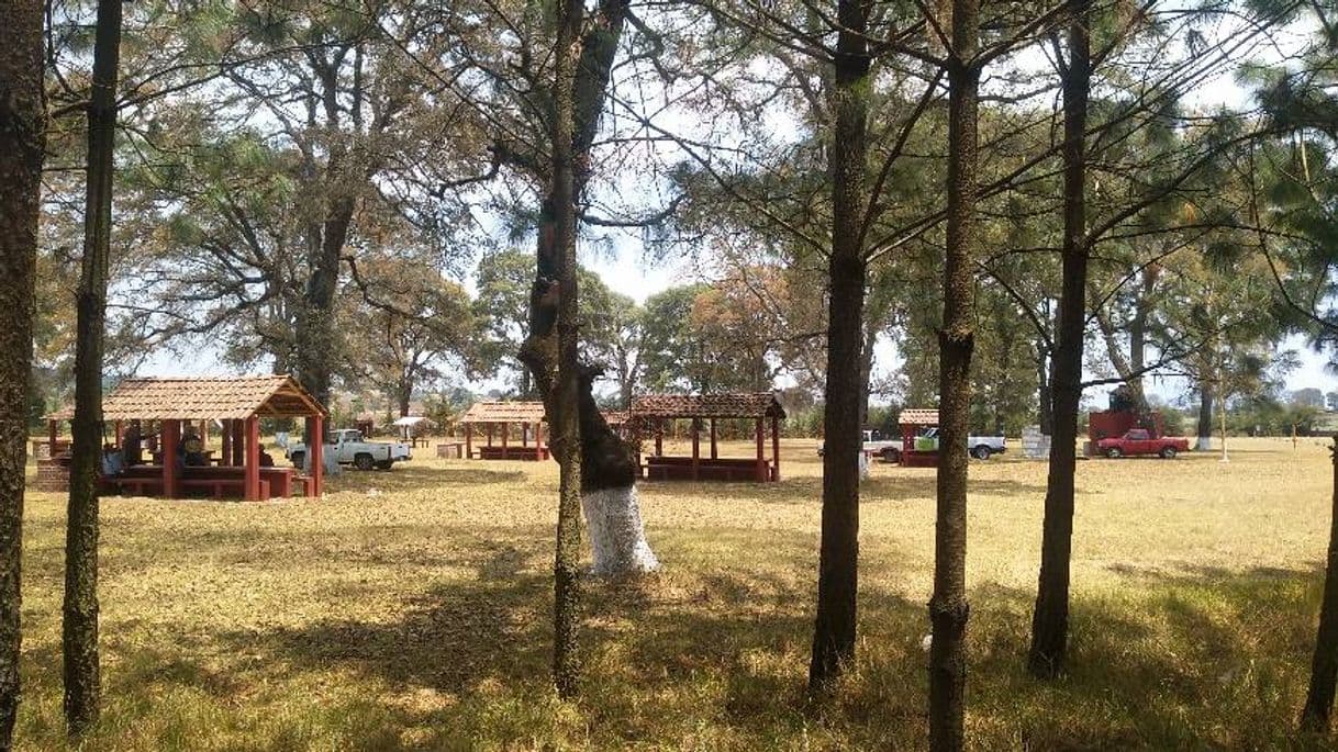 Lugar Parque Ecoturístico El Camaleón