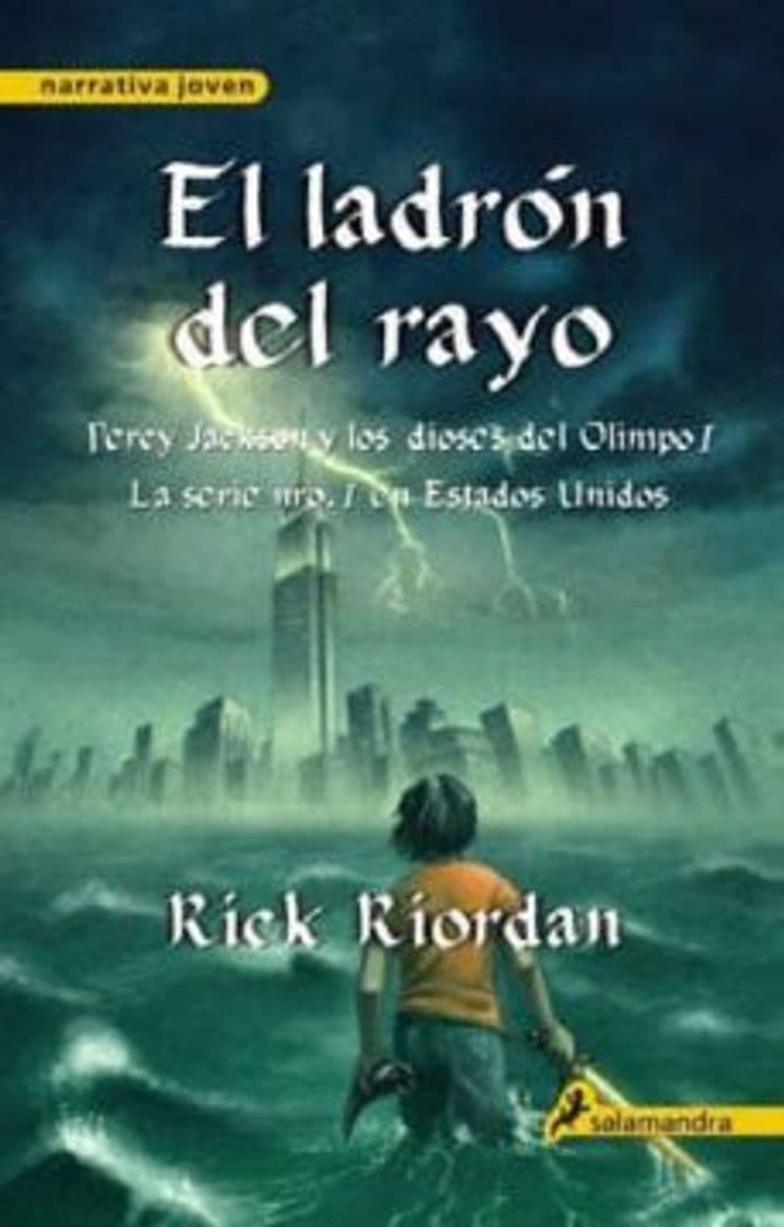 Libro EL LADRON DEL RAYO -Rtca. Nva. Portada-