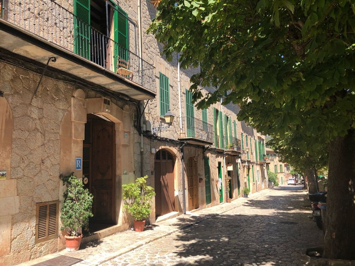 Lugar Valldemosa