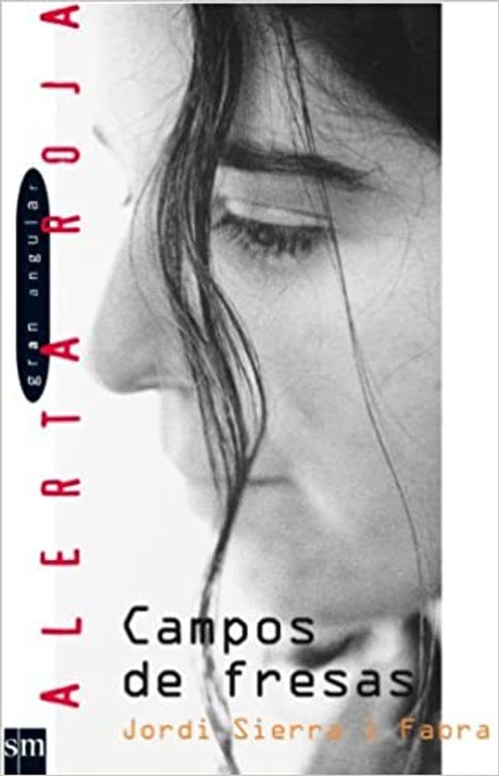 Libro Campos de fresas: Spanische Lektüre für das 2