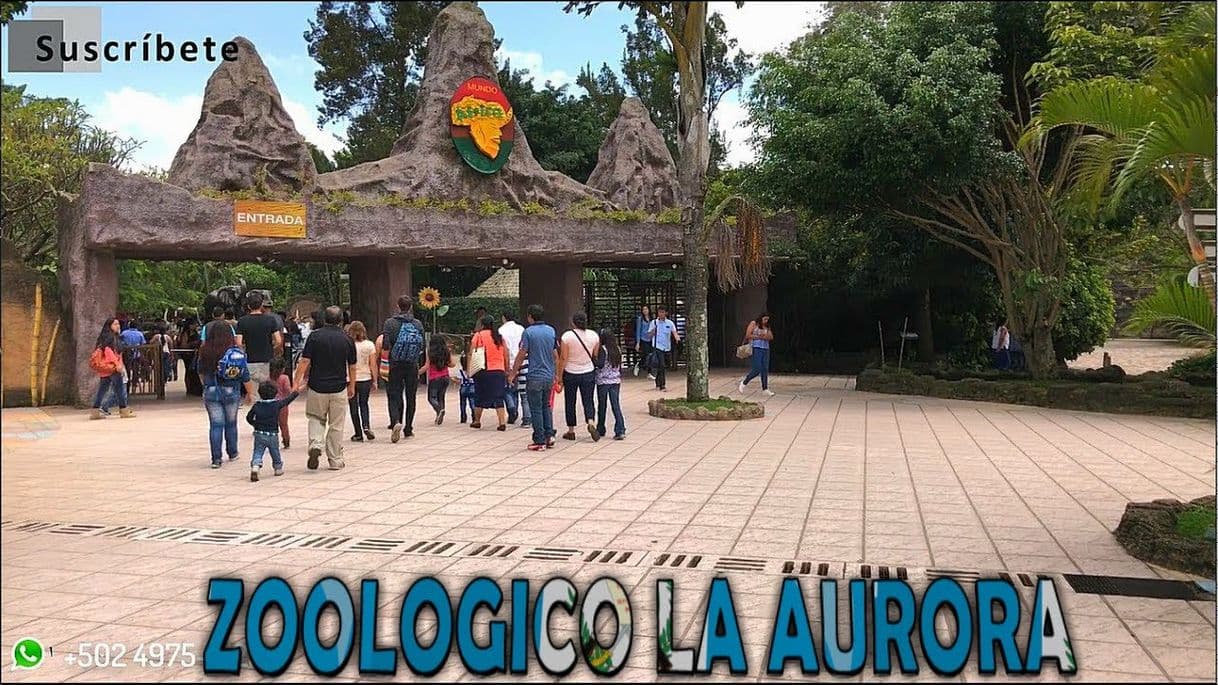 Place Zoológico La Aurora