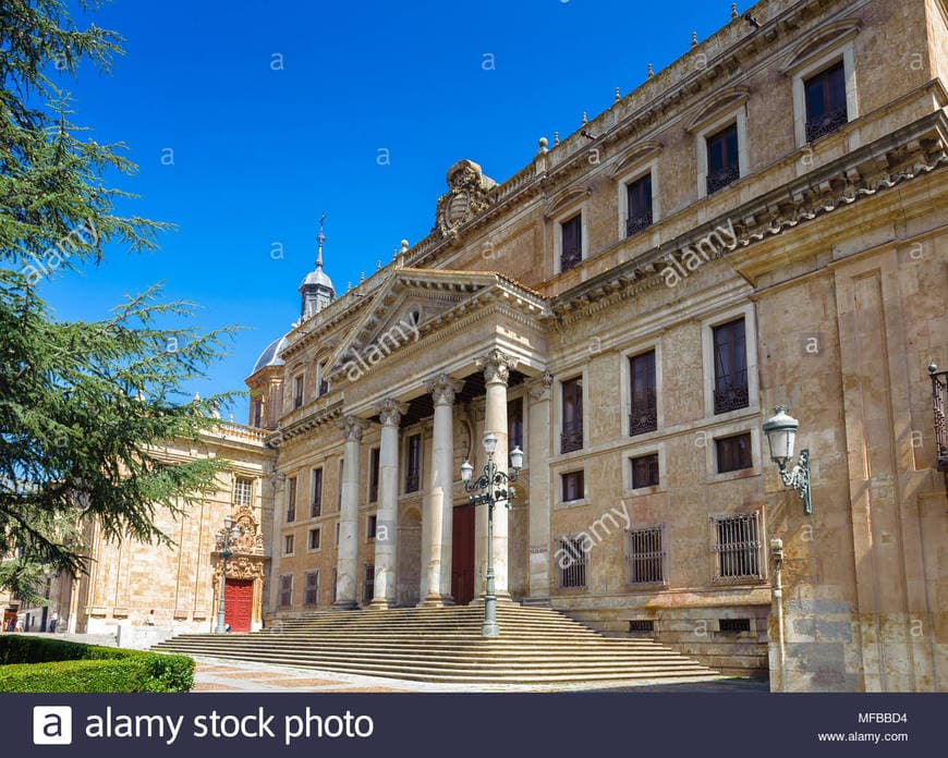 Place Palacio de Anaya