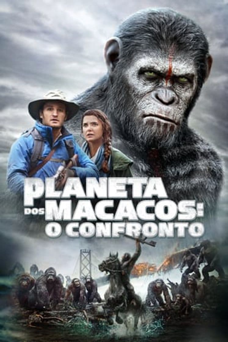 Película Dawn of the Planet of the Apes