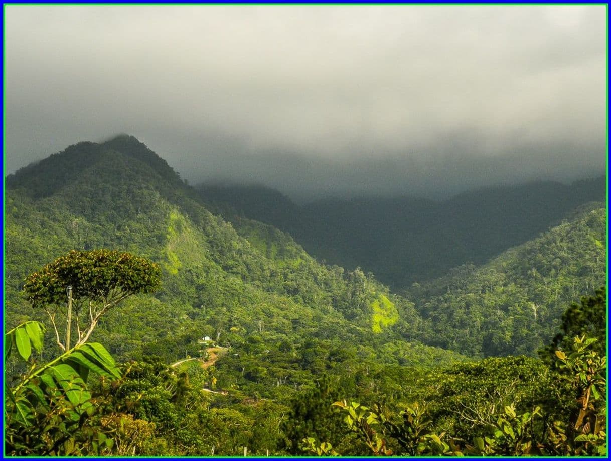 Place Parque Nacional Cerro Azul Meámbar