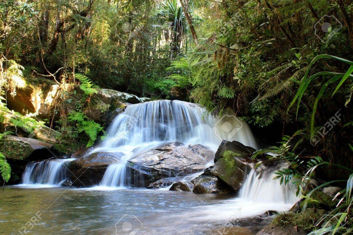 Place Andasibe-Mantadia National Park