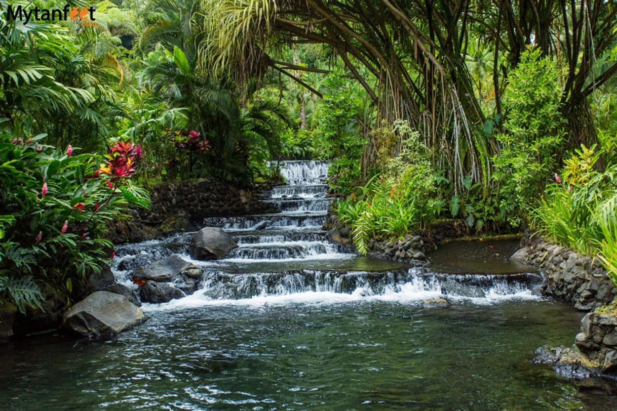 Lugar Tabacon Hot Springs