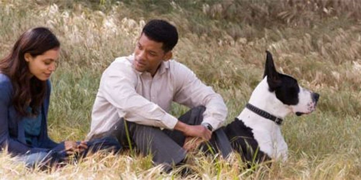 Película Seven Pounds