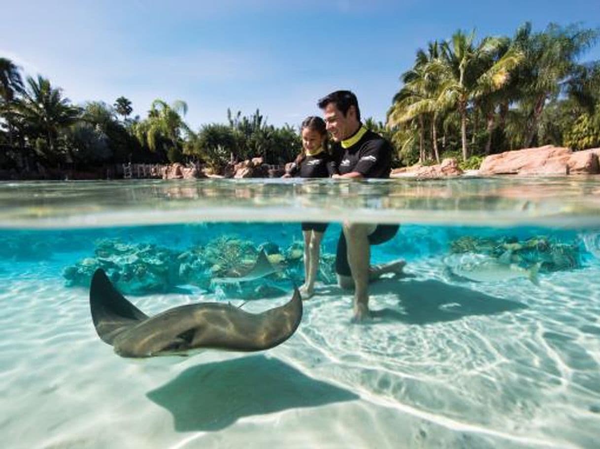 Place Discovery Cove