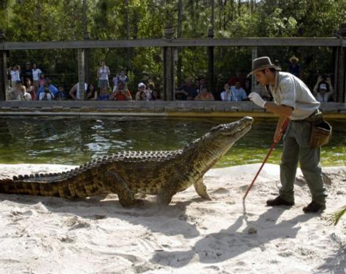 Place Gatorland